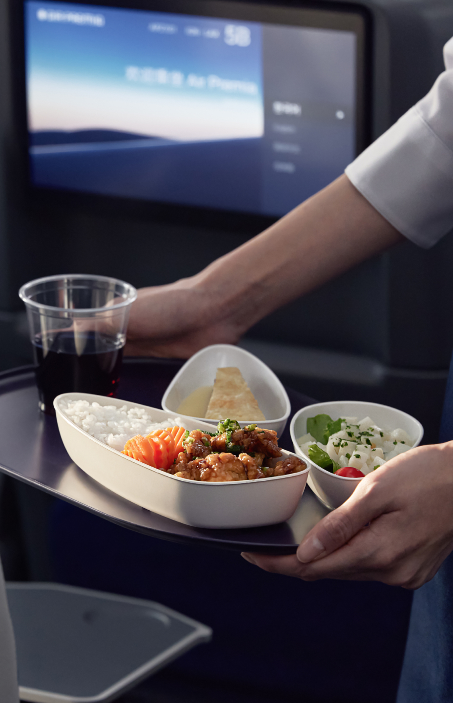 In-flight meals